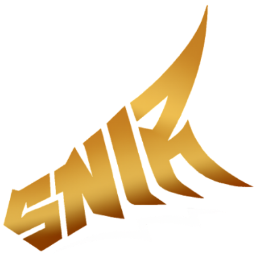 SniR Esport